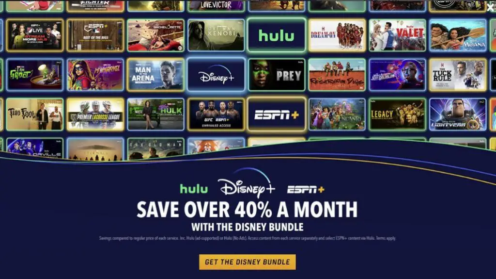 Disney bundle offer