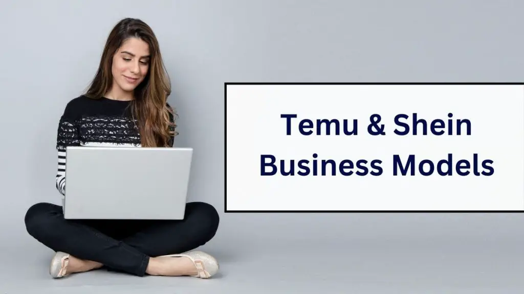 Temu & Shein Business Models