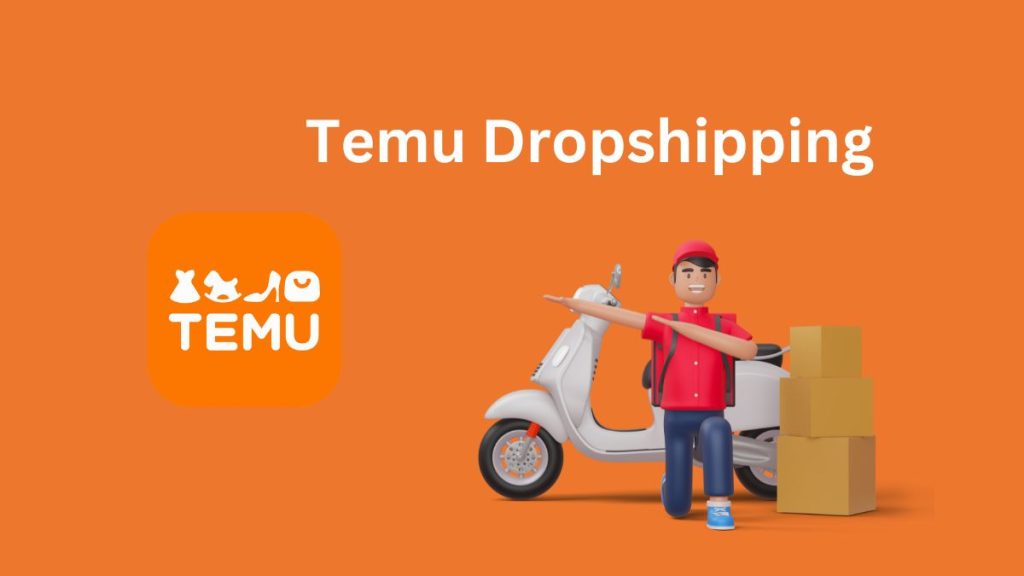 Temu Dropshipping